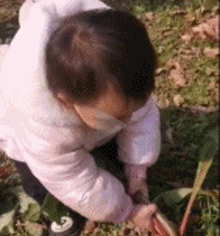 这萝卜太难拔了，把本宝宝摔翻了