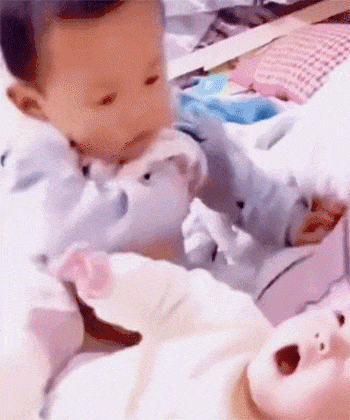 妹妹别哭啦！哥哥拿奶奶来喂你了
