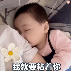 比较粘人的小宝贝