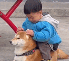 爱骑狗狗的小孩，还要摸摸它的小耳朵
