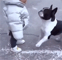 宝宝不注意被狗狗推倒在地上坐着，等我长大再收拾你