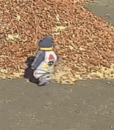 农村散养的小孩，主打一个自由自在和无忧无虑