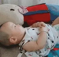 点图看详细