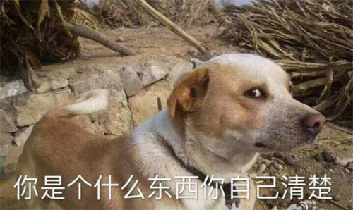 你不清楚你是个什么东西吗