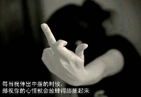 每当我伸出中指的时候，鄙视你的心情就会膨胀起来