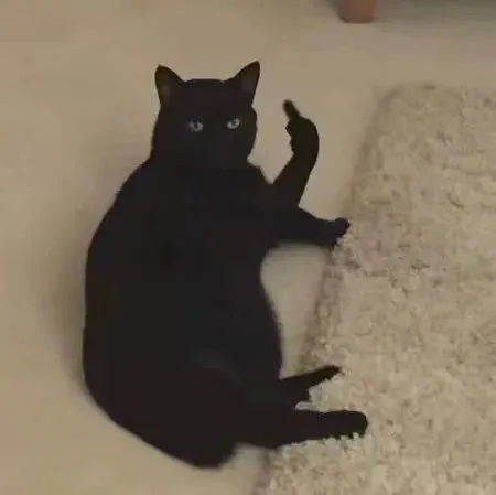 小黑猫伸出爪子望着你