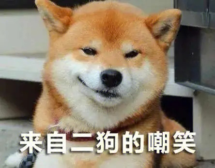 给你一个来自二狗的嘲笑