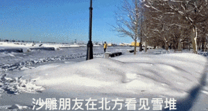 沙雕朋友在北方看见雪堆时忍不住向上扑倒