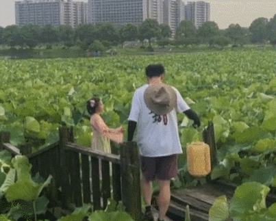 在公园里打着灯笼凭空消失的男人