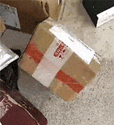 这快递箱里究竟装的何方妖孽？竟然活蹦乱跳的自己跑路