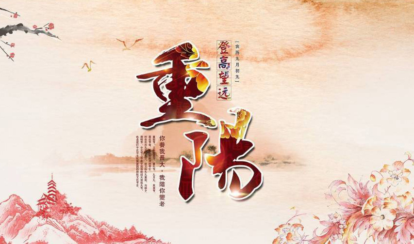 你养我长大，我陪你到老