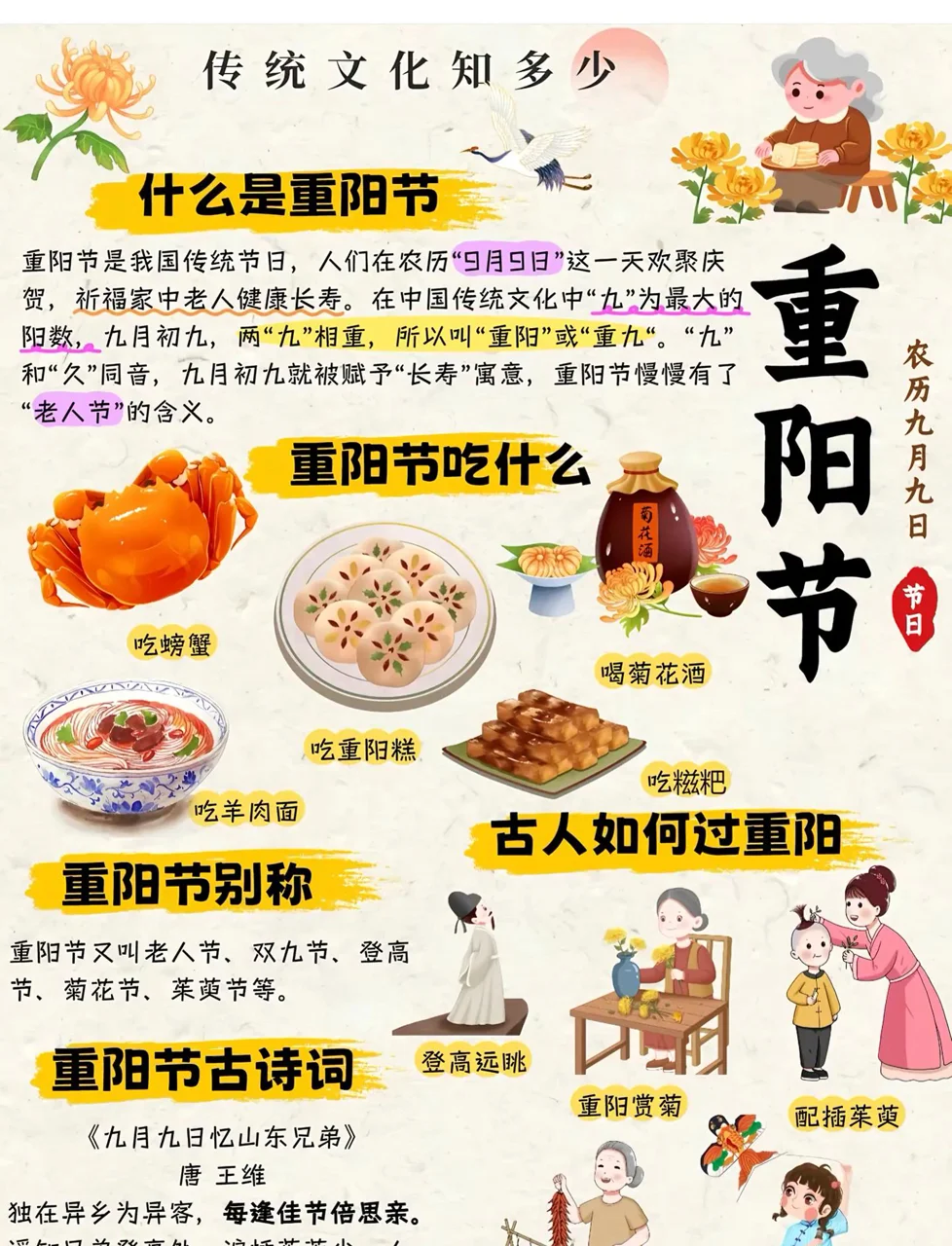 重阳知识科普，适合学生手抄报素材