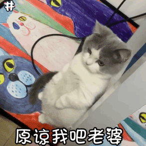 老婆，求你原谅我吧