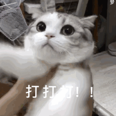 赶紧放开我，我要打人了