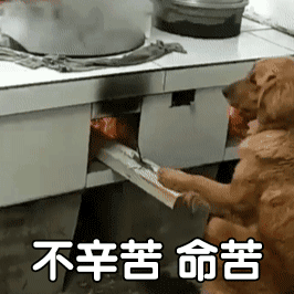 帮主人烧火做饭的狗狗，命苦啊