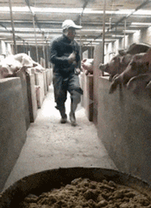 养猪场里的领舞，带着全体猪猪一起嗨皮