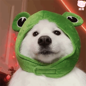 请允许我给主人吐个舌头玩玩吧