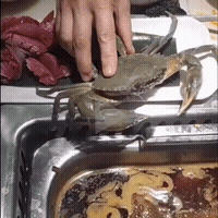 一只倔强的螃蟹，掉到热锅里还想努力爬上来