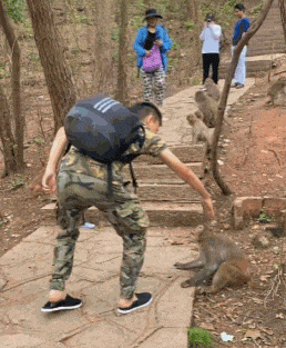 没事不要去招惹泼猴，小心被抓伤