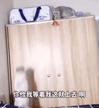 本想上去揍你的，没想到一个不小心就这样摔死了
