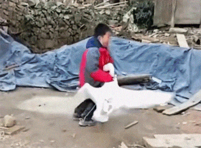 攻击性很强的鸭子，咬着小朋友衣服不松口