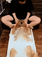 舒舒服服的泡个澡，顺便享受一下主人的按摩服务，这感觉真爽