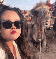 妹子模仿羊驼吃东西，这该死的节奏感，完全一致