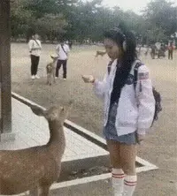 这只小鹿有点坏，行为有点耍流氓哦