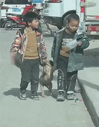 生无可恋的狗狗被两位小朋友拎着前腿回家
