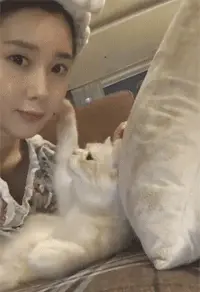 单身狗：放开那只猫咪，有本事冲我来