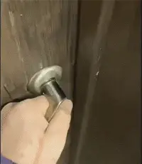 现在的骑手什么活都敢接，我怀疑你就是这只大猫的外卖