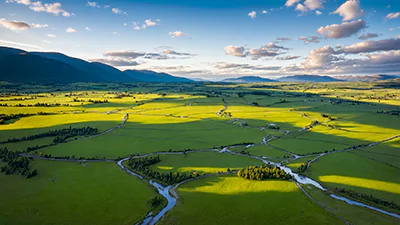 美丽的草原，诱人的天堂