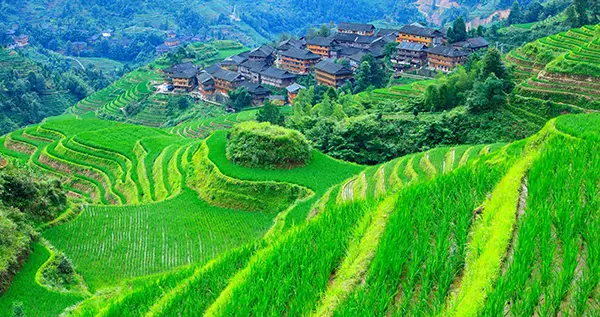 吊脚楼与绿梯田：深山里的烟火人间