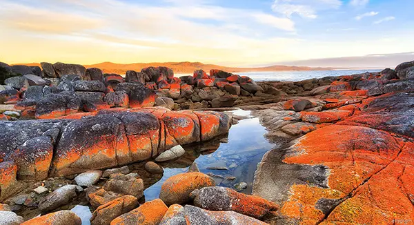 奔赴塔斯马尼亚，在火焰湾邂逅一场橙红落日