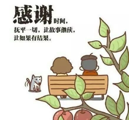 感谢时间抚平了一切，让故事继续