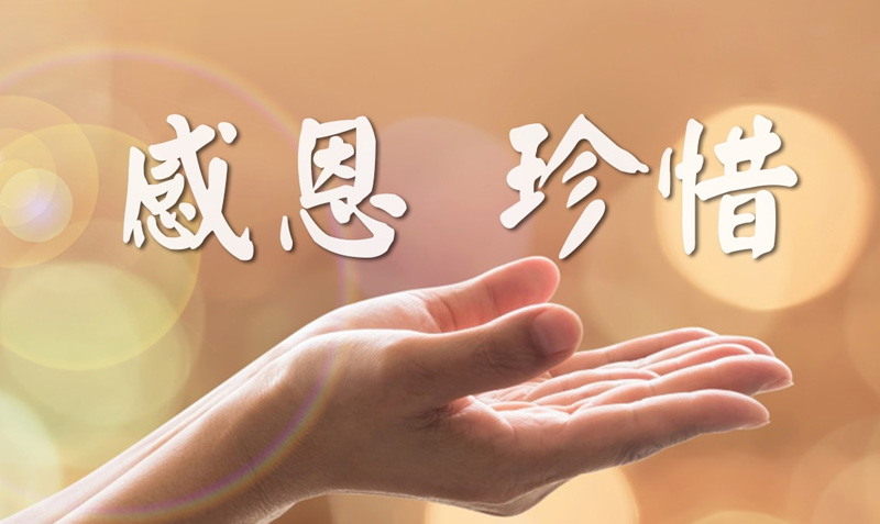 学会感恩，懂得珍惜