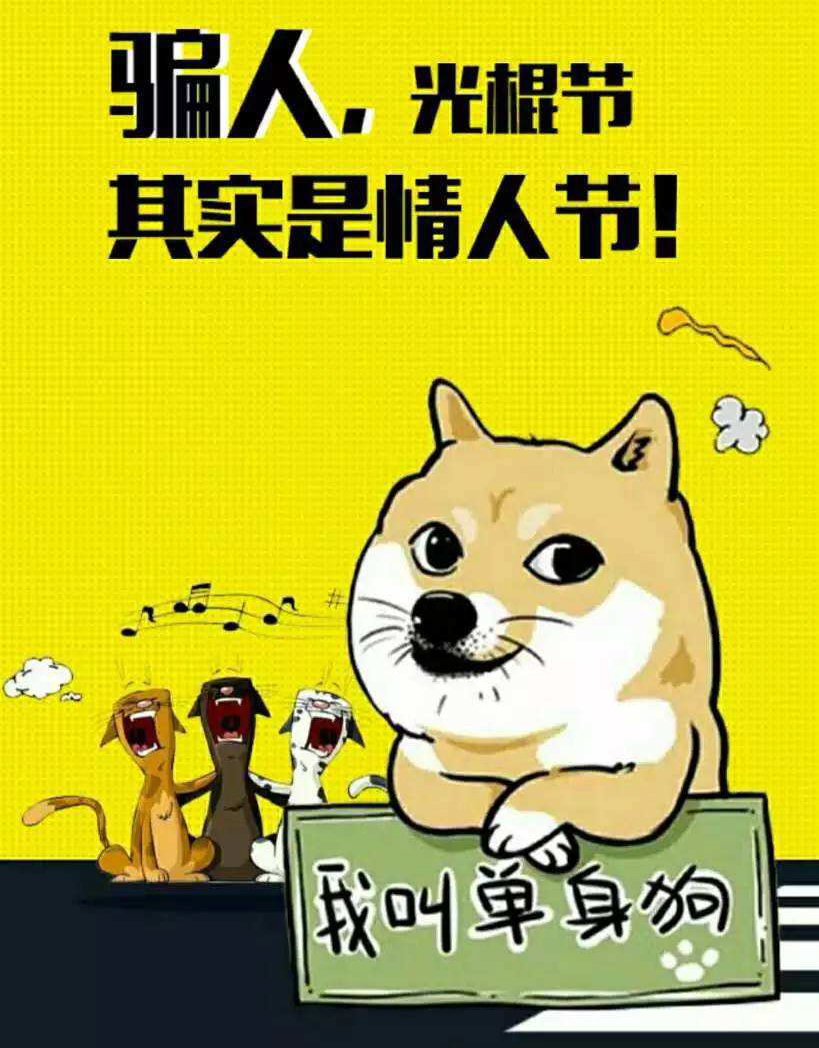 光棍节其实是情人节，我叫单身狗