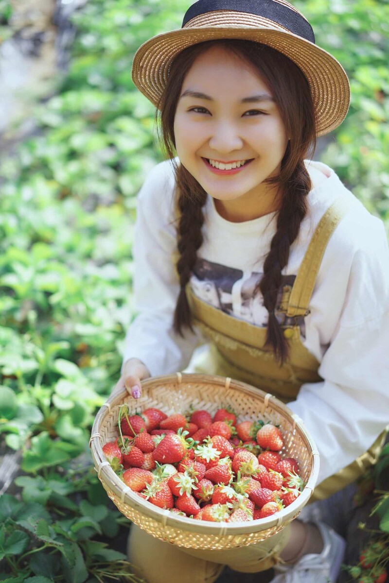 开心摘草莓的微胖小女人