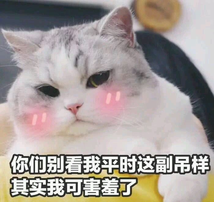 你们别看我平常这样，其实我可害羞了