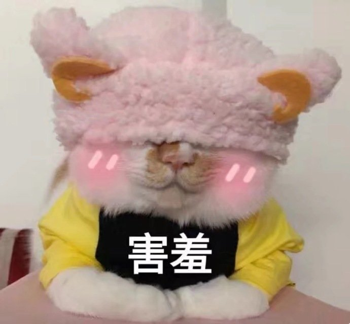 脸红羞羞的小猫咪
