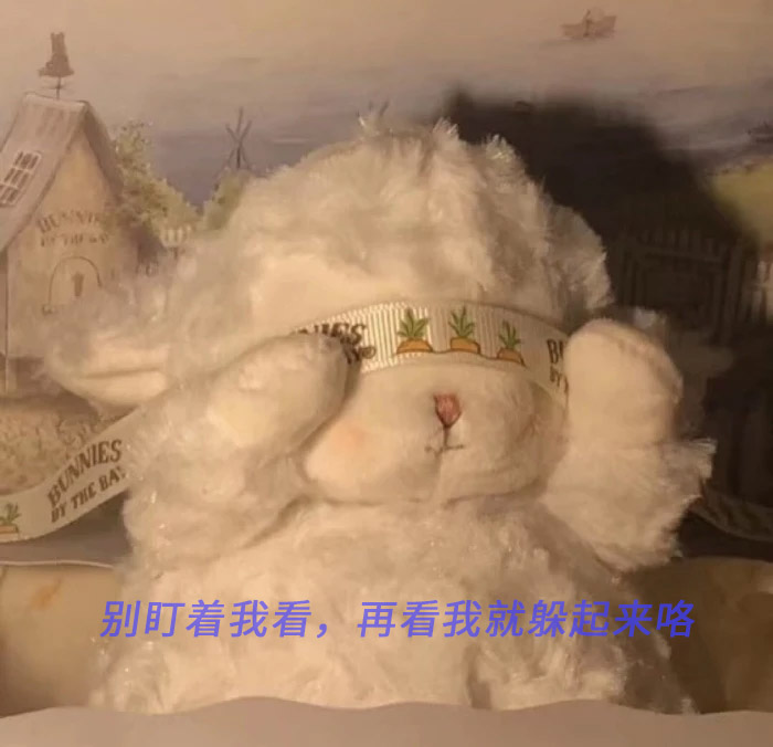 你别老是盯着我看，再看我就躲起来了咯