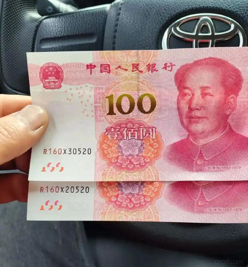 车里发现的 “双胞胎” 520人民币