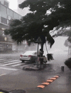 事实证明，狂风暴雨的天气真不该出门