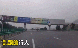 行人在快速路上横冲直闯，司机刹车不及出事故