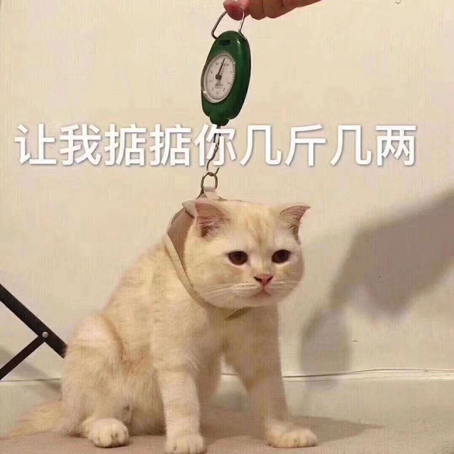 让我来掂掂你有几斤几两