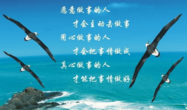 用心做事的人，才会把事情做成