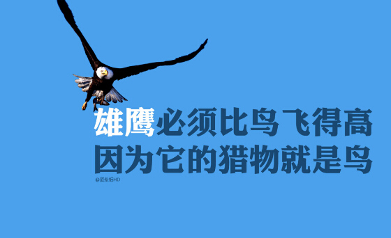 雄鹰必须要飞得比鸟高，因为它的猎物就是鸟