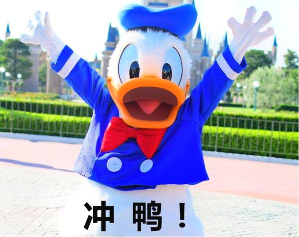 送你两个字“冲鸭”