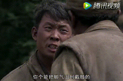 你这个能把脚气治到截肢的半吊子兽医