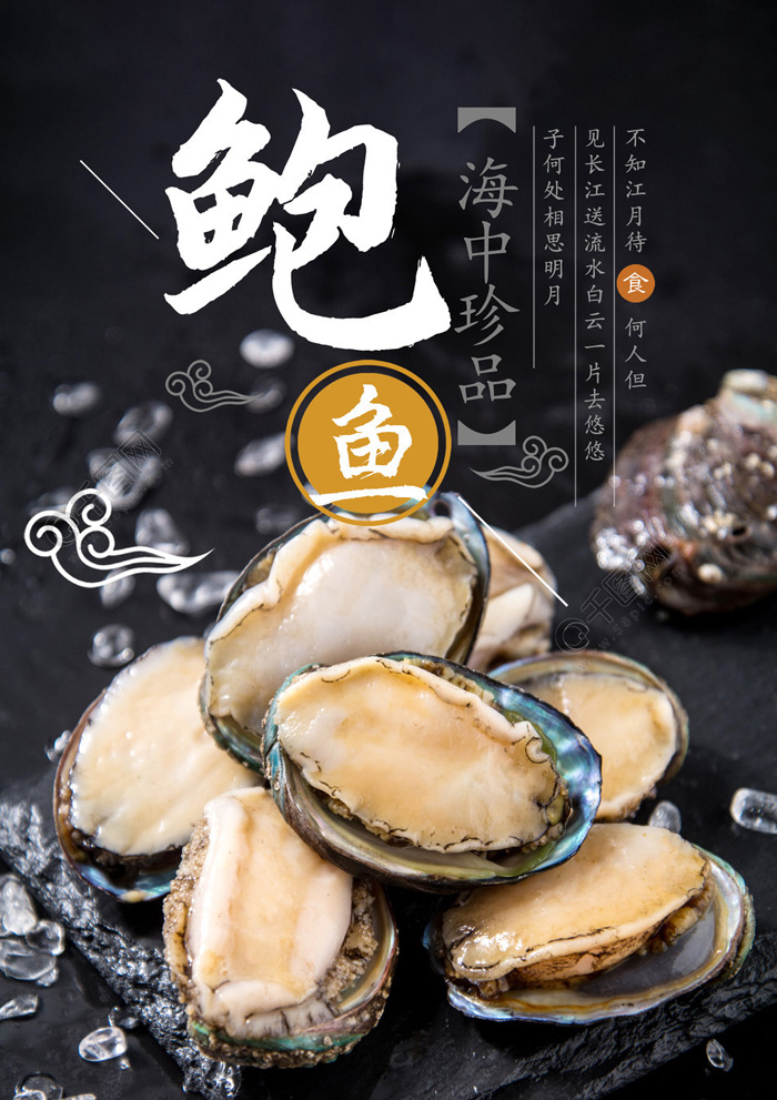 海中珍品-美味鲍鱼